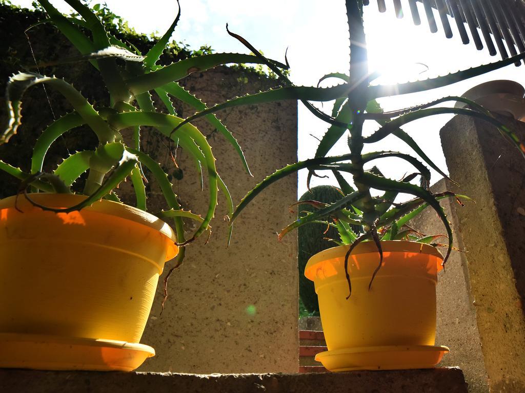 Rental Rooms Antonella تافوليا المظهر الخارجي الصورة